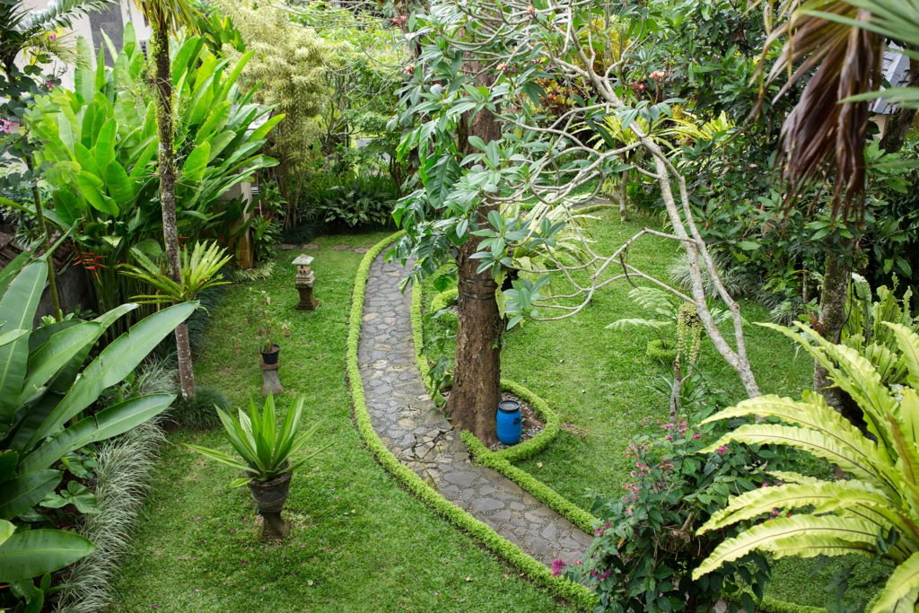 Traditional Balinese Boreh: Ancient Spice Healing for Body & Mind