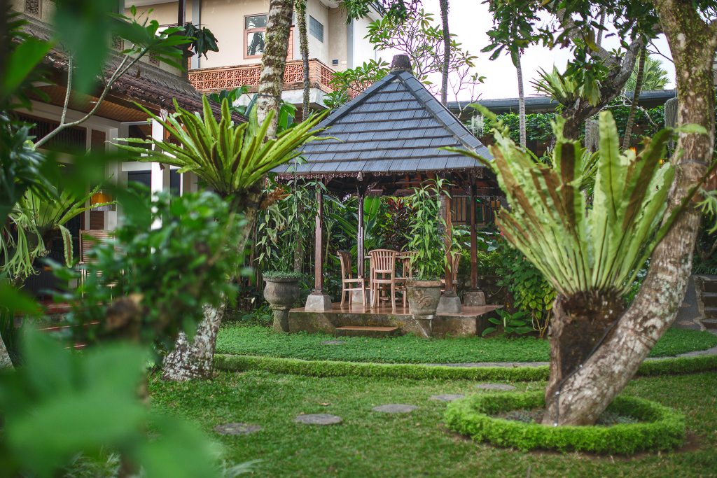 Slow Living in Ubud: How to Disconnect and Reconnect in the Rainforest